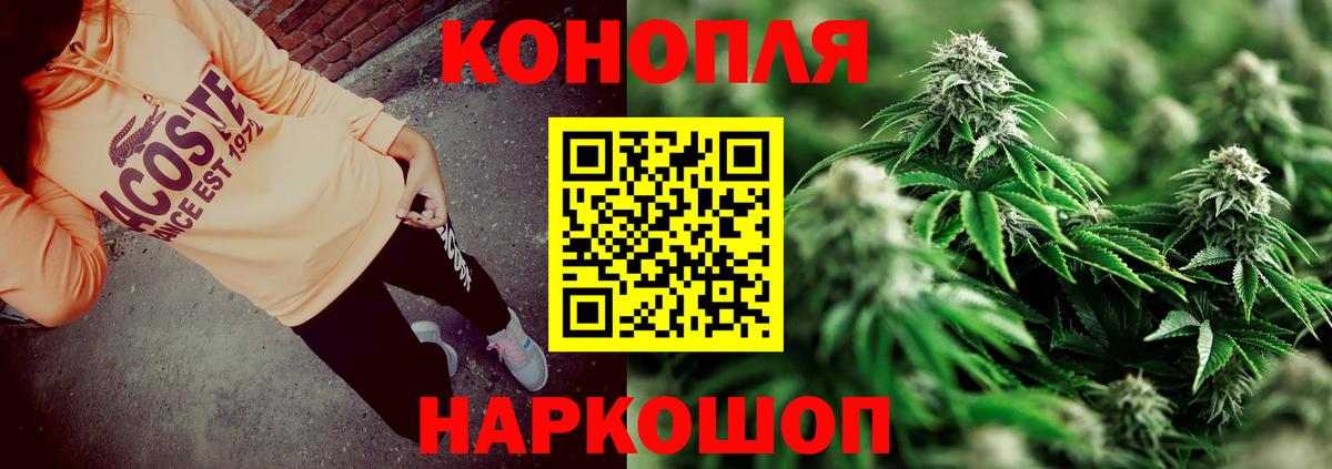 Бошки Шишки планчик Зеленогорск